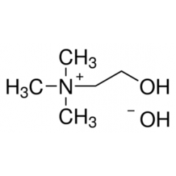 123-41-1C822457 氢氧化胆碱 溶液, 45 wt. % in methanol