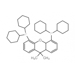 940934-47-4B828409 4,5-双(二环己基膦)-二苯并吡喃衍生物, 98%