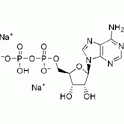 16178-48-6A800515 腺苷-5'-二磷酸二钠盐,