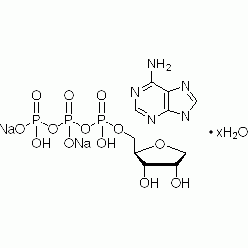 34369-07-8A800906 腺苷-5'-三磷酸二钠盐,水合物, 98%