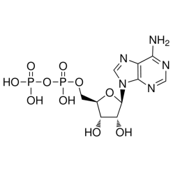 58-64-0A801493 腺苷-5’-二磷酸, ≥98% (HPLC)