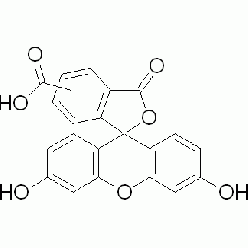 72088-94-9C804899 5(6)-羧基荧光素, ≥95% (HPLC) ,5-和6-异构