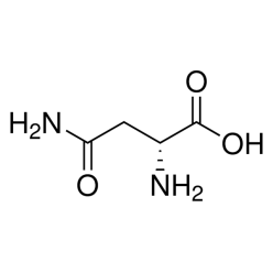 2058-58-4D808233 D-天冬酰胺, 98%