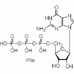 36051-31-7G810427 鸟苷-5'-三磷酸钠盐(GTP), ≥96%(HPLC）