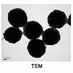 1309-37-1I814289 γ-三氧化二铁磁性微球, 基质:SiO2,表面基团:-SiOH,粒