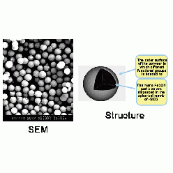 14808-60-7S814091 SLE 包埋式二氧化硅磁性微球, 基质:SiO2,表面基团:-C