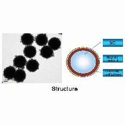 14808-60-7S814112 SLC 核壳式二氧化硅磁性微球, 基质:SiO2,表面基团:-C