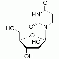 3083-77-0U820307 阿糖尿苷, 98%