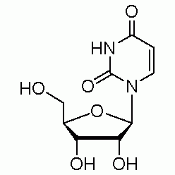 58-96-8U820334 尿嘧啶核苷, 99%