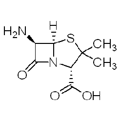 551-16-66-氨基青霉烷酸