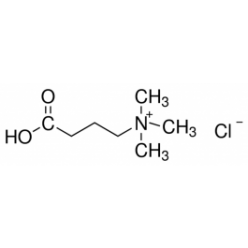 6249-56-5γ-Butyrobetaine Hydrochloride