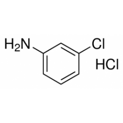 141-85-53-氯苯胺盐酸盐