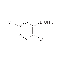 536693-97-72,5-二氯吡啶-3-硼酸