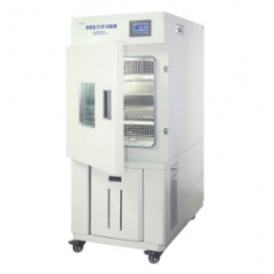 BPH-1000B高低温试验箱