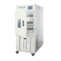 BPHS-1000A高低温湿热试验箱